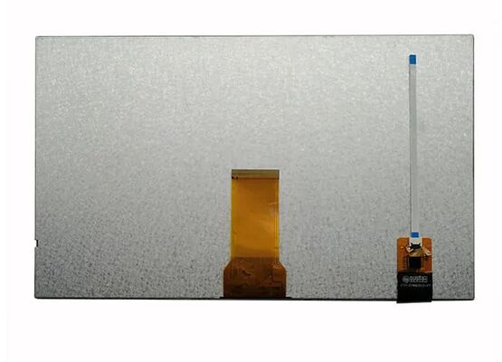 10.1 Inch 1024x600 Dots RGB Interface TFT LCD Display with LED Backlight and All Viewing Angles